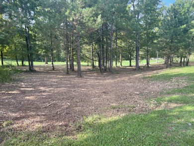 Mount Vintage is an ideal location for those interested in a on Mount Vintage Plantation and Golf Club  in South Carolina - for sale on GolfHomes.com, golf home, golf lot