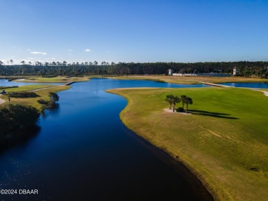 WELCOME HOME! The sought-after New Smyrna Beach community of on Venetian Bay Golf Course in Florida - for sale on GolfHomes.com, golf home, golf lot