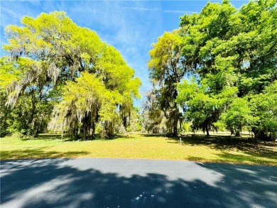 0.87 OF AN ACRE LOT IN AN X FLOOD ZONE (NO FLOOD INSURANCE on Sapelo Hammock Golf Club in Georgia - for sale on GolfHomes.com, golf home, golf lot