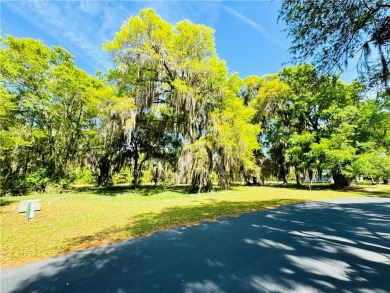 0.87 OF AN ACRE LOT IN AN X FLOOD ZONE (NO FLOOD INSURANCE on Sapelo Hammock Golf Club in Georgia - for sale on GolfHomes.com, golf home, golf lot