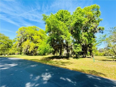 0.87 OF AN ACRE LOT IN AN X FLOOD ZONE (NO FLOOD INSURANCE on Sapelo Hammock Golf Club in Georgia - for sale on GolfHomes.com, golf home, golf lot