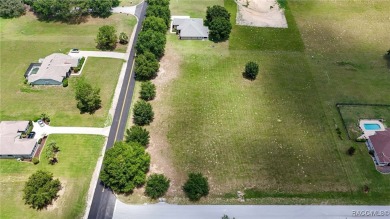 BUILD YOUR DREAM HOME on this beautiful piece of property close on Citrus Hills Golf Club in Florida - for sale on GolfHomes.com, golf home, golf lot