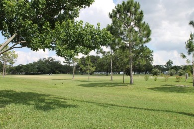 This is a very special remodeled, Drayton, single family home on Mainlands Golf Club in Florida - for sale on GolfHomes.com, golf home, golf lot