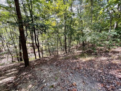 Owner Financing possible for this beautiful lot located in *The on Mountain Greens Golf Course in Virginia - for sale on GolfHomes.com, golf home, golf lot
