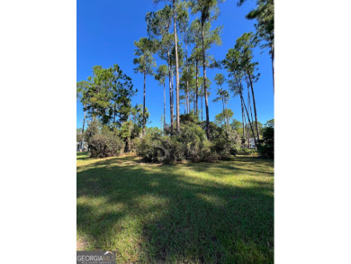 Build your dream home on this beautiful 0.65-acre lakefront lot on The Club At Osprey Cove in Georgia - for sale on GolfHomes.com, golf home, golf lot