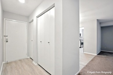 Welcome to your dream home in the highly sought-after Willow on Twin Lakes Golf Course in Illinois - for sale on GolfHomes.com, golf home, golf lot