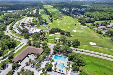 Welcome to this beautiful 2 Bedroom 2 Bath pond view condo in on East Lake Woodlands Country Club in Florida - for sale on GolfHomes.com, golf home, golf lot