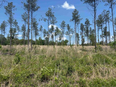 Perfect location out by the Golf Club*public water*nice on Sheridan Golf Club in Arkansas - for sale on GolfHomes.com, golf home, golf lot