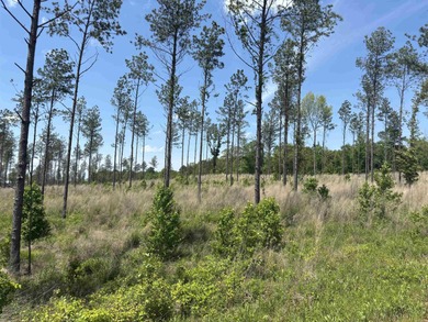 Perfect location out by the Golf Club*public water*nice on Sheridan Golf Club in Arkansas - for sale on GolfHomes.com, golf home, golf lot