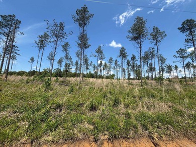 Perfect location out by the Golf Club*public water*nice on Sheridan Golf Club in Arkansas - for sale on GolfHomes.com, golf home, golf lot