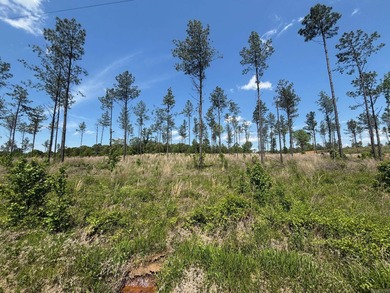 Perfect location out by the Golf Club*public water*nice on Sheridan Golf Club in Arkansas - for sale on GolfHomes.com, golf home, golf lot