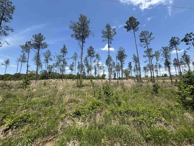 Perfect location out by the Golf Club*public water*nice on Sheridan Golf Club in Arkansas - for sale on GolfHomes.com, golf home, golf lot