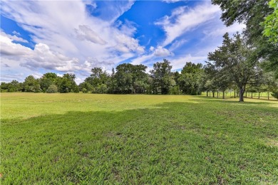 Brand new 2025 construction in the sought-after Citrus Hills on Citrus Hills Golf Club in Florida - for sale on GolfHomes.com, golf home, golf lot