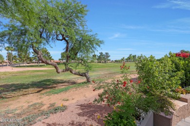 Gorgeous Home on a Golf Course Lot in the Active Adult Community on Eagles Nest at Pebble Creek in Arizona - for sale on GolfHomes.com, golf home, golf lot