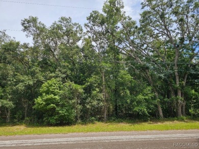 Welcome to your future homesite! Nestled in the peaceful on Citrus Hills Golf Club in Florida - for sale on GolfHomes.com, golf home, golf lot