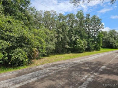 Welcome to your future homesite! Nestled in the peaceful on Citrus Hills Golf Club in Florida - for sale on GolfHomes.com, golf home, golf lot