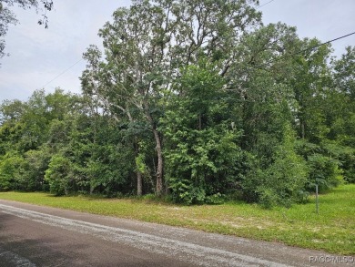 Welcome to your future homesite! Nestled in the peaceful on Citrus Hills Golf Club in Florida - for sale on GolfHomes.com, golf home, golf lot
