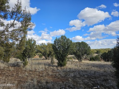 Look no further! Discover this unique find in the White on Juniper Ridge R.V. Golf Resort in Arizona - for sale on GolfHomes.com, golf home, golf lot