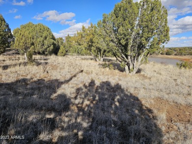 Look no further! Discover this unique find in the White on Juniper Ridge R.V. Golf Resort in Arizona - for sale on GolfHomes.com, golf home, golf lot