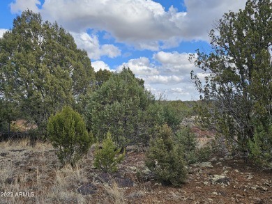 Look no further! Discover this unique find in the White on Juniper Ridge R.V. Golf Resort in Arizona - for sale on GolfHomes.com, golf home, golf lot