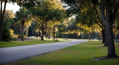 MOTIVATED SELLER** 2020 ROOF **GOLF CART INCLUDED**   Step into on Schalamar Creek Golf and Country Club in Florida - for sale on GolfHomes.com, golf home, golf lot