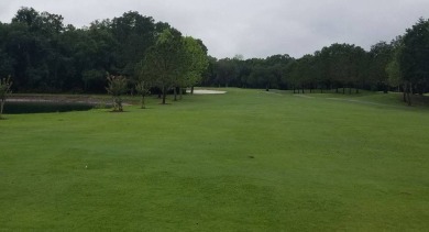 MOTIVATED SELLER** 2020 ROOF **GOLF CART INCLUDED**   Step into on Schalamar Creek Golf and Country Club in Florida - for sale on GolfHomes.com, golf home, golf lot