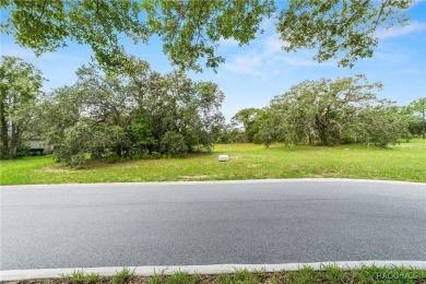 Vacant Lot in Black Diamond Ranch, one of Florida's premier on Black Diamond Ranch Golf Course in Florida - for sale on GolfHomes.com, golf home, golf lot
