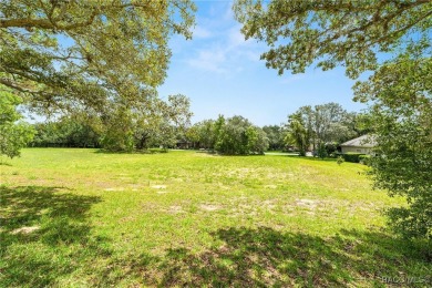 Vacant Lot in Black Diamond Ranch, one of Florida's premier on Black Diamond Ranch Golf Course in Florida - for sale on GolfHomes.com, golf home, golf lot