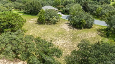 Vacant Lot in Black Diamond Ranch, one of Florida's premier on Black Diamond Ranch Golf Course in Florida - for sale on GolfHomes.com, golf home, golf lot