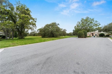 Vacant Lot in Black Diamond Ranch, one of Florida's premier on Black Diamond Ranch Golf Course in Florida - for sale on GolfHomes.com, golf home, golf lot