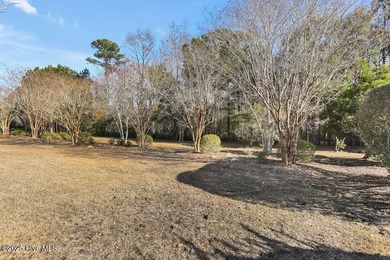 Serene nature views await you in this stunning brick home on Cape Fear National At Brunswick Forest in North Carolina - for sale on GolfHomes.com, golf home, golf lot
