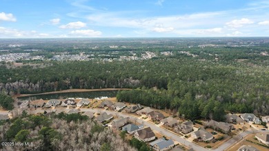 Serene nature views await you in this stunning brick home on Cape Fear National At Brunswick Forest in North Carolina - for sale on GolfHomes.com, golf home, golf lot