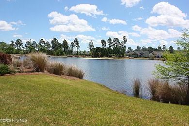 Serene nature views await you in this stunning brick home on Cape Fear National At Brunswick Forest in North Carolina - for sale on GolfHomes.com, golf home, golf lot