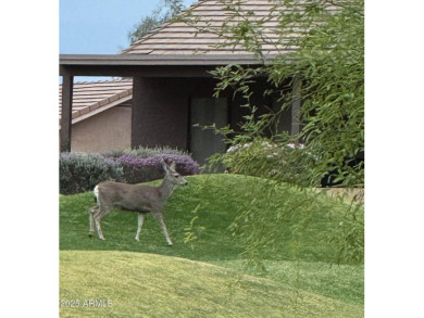 A GEM IN HIDDEN CANYON!  Enjoy breathtaking views of Dinosaur on Mountain Brook Golf Club in Arizona - for sale on GolfHomes.com, golf home, golf lot