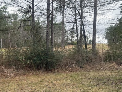 Great lot on Hole 1 at Shadow Ridge Golf Club. Tucked into a on Shadow Ridge Golf Club in Mississippi - for sale on GolfHomes.com, golf home, golf lot