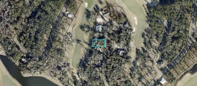 This oversized golf front lot is in an X zone and filled with on The Golf Club At Sanctuary Cove in Georgia - for sale on GolfHomes.com, golf home, golf lot