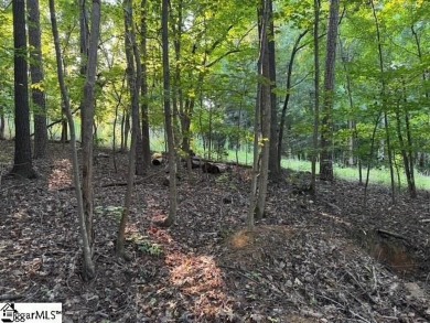 A great opportunity to own a wooded lot bordering Palmetto Hills on The Creek Golf Club in South Carolina - for sale on GolfHomes.com, golf home, golf lot