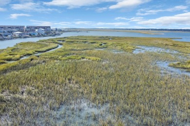 An extraordinary opportunity for discerning buyers and/or on Wachesaw Plantation Club in South Carolina - for sale on GolfHomes.com, golf home, golf lot