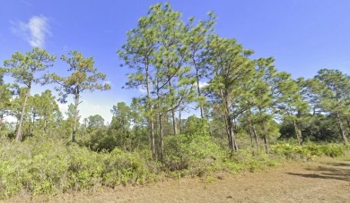 This is a fantastic opportunity to build your dream home in the on Indian Lake Estates Golf and Country Club in Florida - for sale on GolfHomes.com, golf home, golf lot