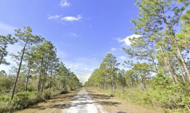 This is a fantastic opportunity to build your dream home in the on Indian Lake Estates Golf and Country Club in Florida - for sale on GolfHomes.com, golf home, golf lot