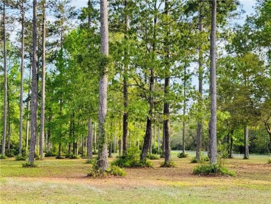 53 OF AN ACRE BEHIND THE GATES OF COOPERS POINT AT SHELLMAN on Sapelo Hammock Golf Club in Georgia - for sale on GolfHomes.com, golf home, golf lot