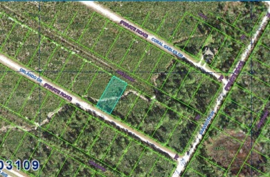 This beautiful  1/2 -acre lot is located in the scenic on Indian Lake Estates Golf and Country Club in Florida - for sale on GolfHomes.com, golf home, golf lot