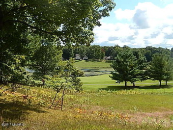 Great long view of the 17th fairway at St. Ives golf course on St. Ives Golf Club in Michigan - for sale on GolfHomes.com, golf home, golf lot