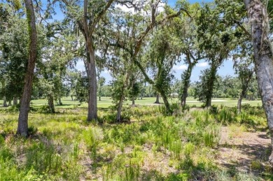 Don't miss this incredible opportunity to build your dream home on The Golf Club At Sanctuary Cove in Georgia - for sale on GolfHomes.com, golf home, golf lot