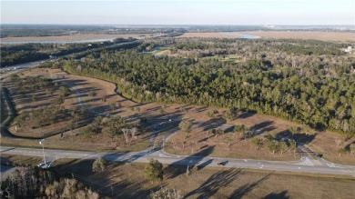 Unrivaled Location with Limitless Potential! Nestled in the on The Golf Club At Sanctuary Cove in Georgia - for sale on GolfHomes.com, golf home, golf lot