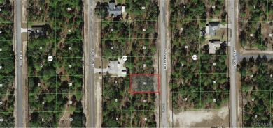 INVESTOR AND BUILDER ALERT!! 1/4 acre parcel in Citrus Springs!! on Pine Ridge Community Golf and Country Club in Florida - for sale on GolfHomes.com, golf home, golf lot
