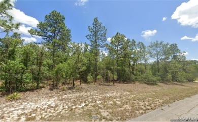 Nice 1/4 acre building lot is Citrus Springs!! ...with public on Pine Ridge Community Golf and Country Club in Florida - for sale on GolfHomes.com, golf home, golf lot