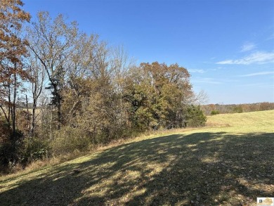 26.47 acres by fresh survey. Fronts on a beautiful, year-round on The Pines At Lindsey Wilson College in Kentucky - for sale on GolfHomes.com, golf home, golf lot