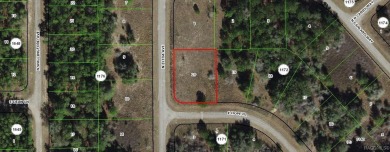 41 acre CORNER lot/homesite 110 by 150 feet that is ready to on Citrus Springs Country Club in Florida - for sale on GolfHomes.com, golf home, golf lot