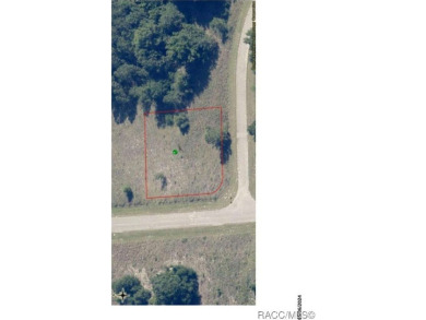 41 acre CORNER lot/homesite 110 by 150 feet that is ready to on Citrus Springs Country Club in Florida - for sale on GolfHomes.com, golf home, golf lot